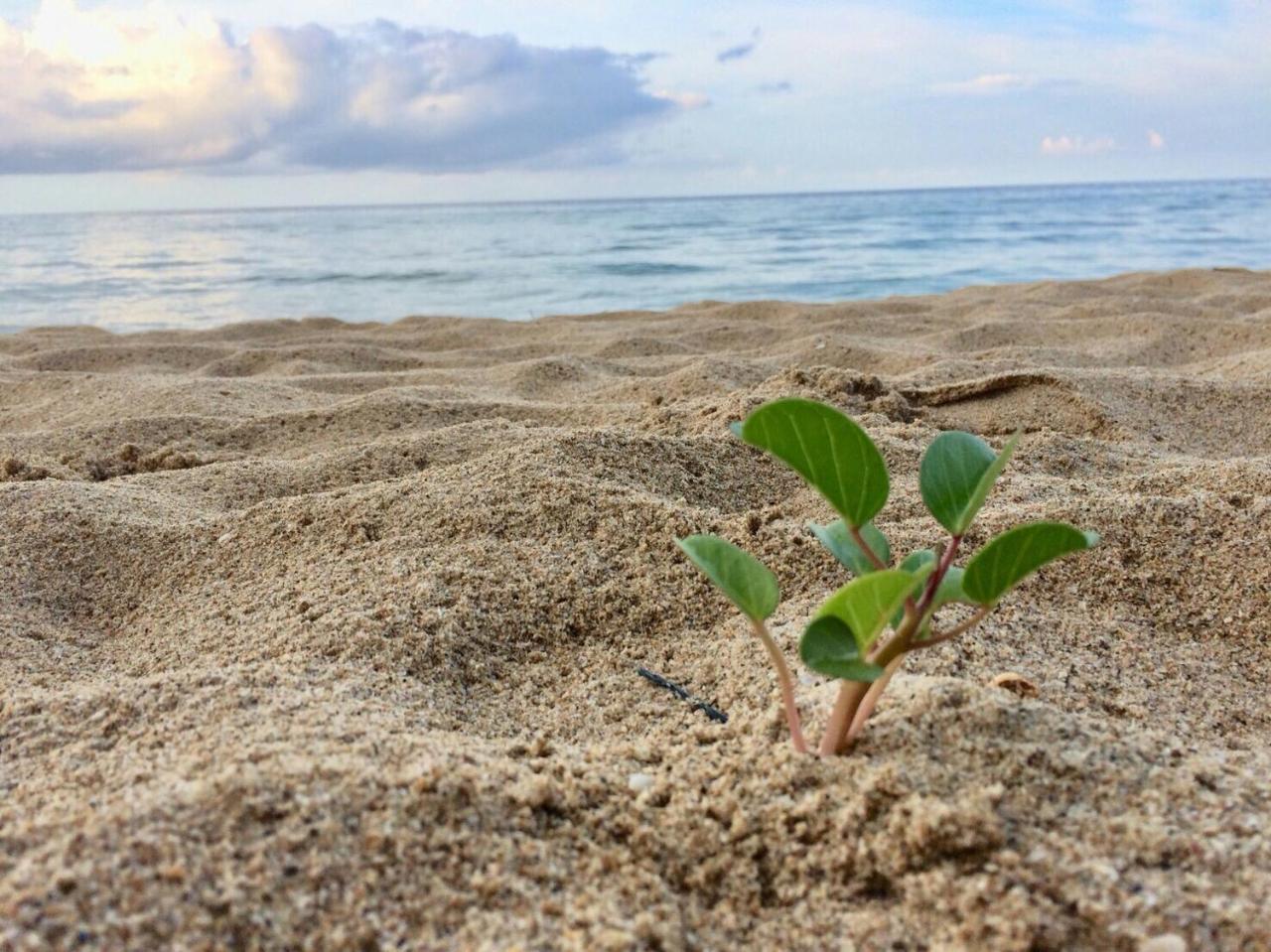 White Sand Beach Resort Ко Чанг Экстерьер фото